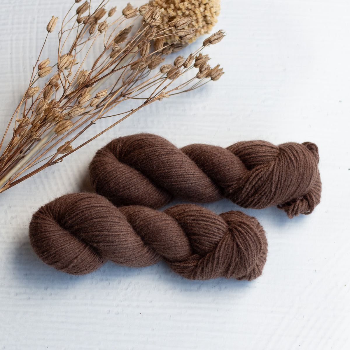 Two skeins of brown yarn placed next to dried flowers on a white surface.